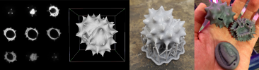 Various images of 3D pollen